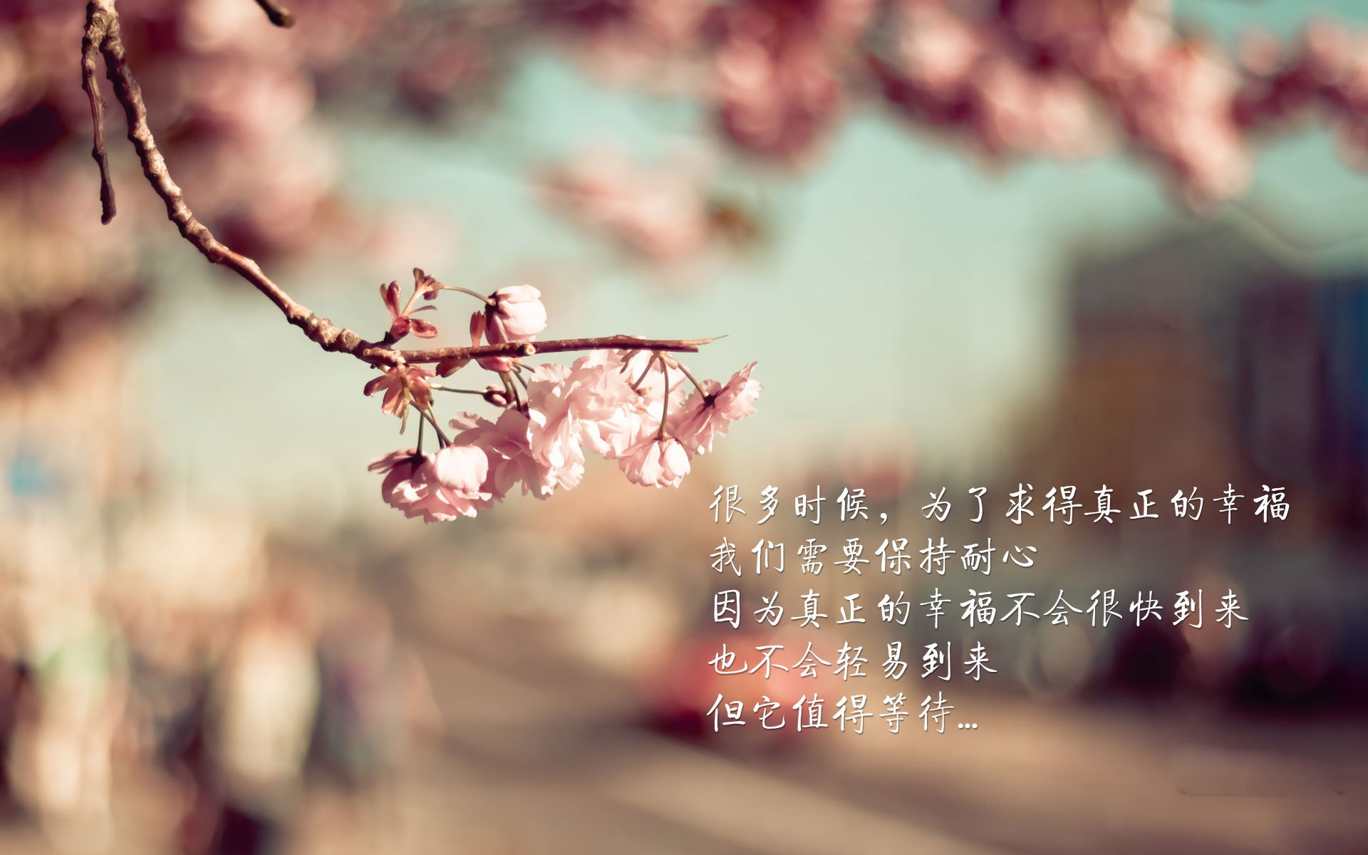 团圆电视剧15集免费观看（团圆电视剧免费观看全集在线播放高）